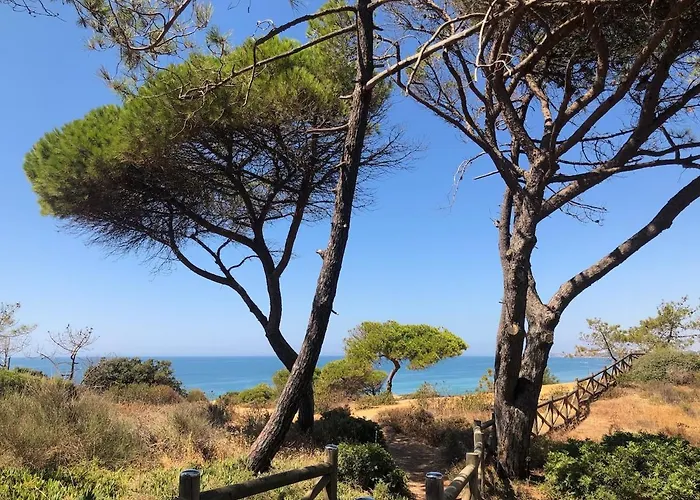 Casa Oura Located 100 Metres From The 公寓 *